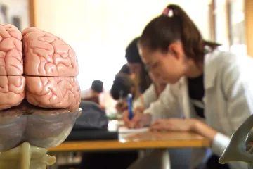 Roste počet mediků, kteří nechtějí za prací do zahraničí, ukázal průzkum