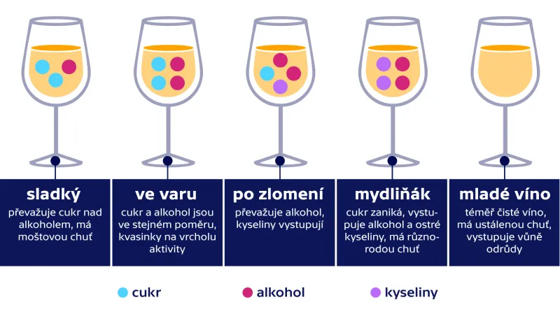 Burčák podle stadia kvašení