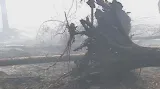 Požáry v Rusku