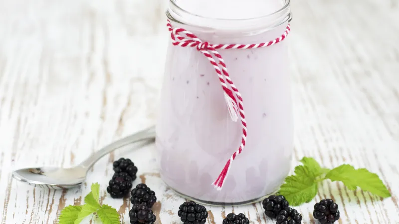 Jogurt