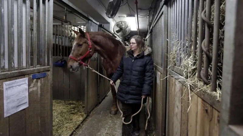 Christina Hansenová