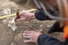 V cihelně v Kostelci nad Orlicí odhalují archeologové významné pohřební místo. Fungovalo tři tisíce let