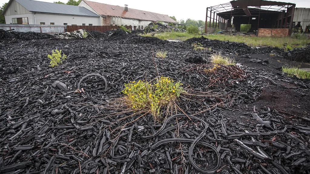 Skládka v Boru u Skutče