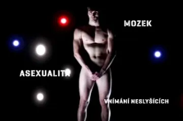 Academia film se blíží do Olomouce