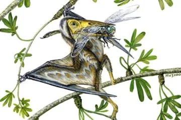 V Číně byl nalezen nejmenší ptakoještěr