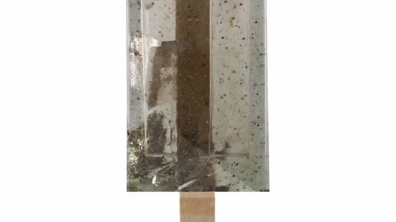 Znečištěné nanuky