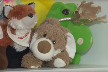 Kojenecké ústavy budou pravděpodobně fungovat až do roku 2026, jejich dřívější konec ve sněmovně neprošel