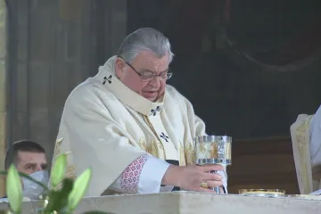 Duka se odmítá omluvit za údajné zneužívání v kléru