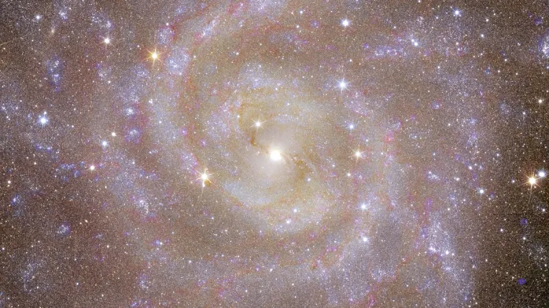 Snímky spirální galaxie IC 342 z kosmického teleskopu Euclid