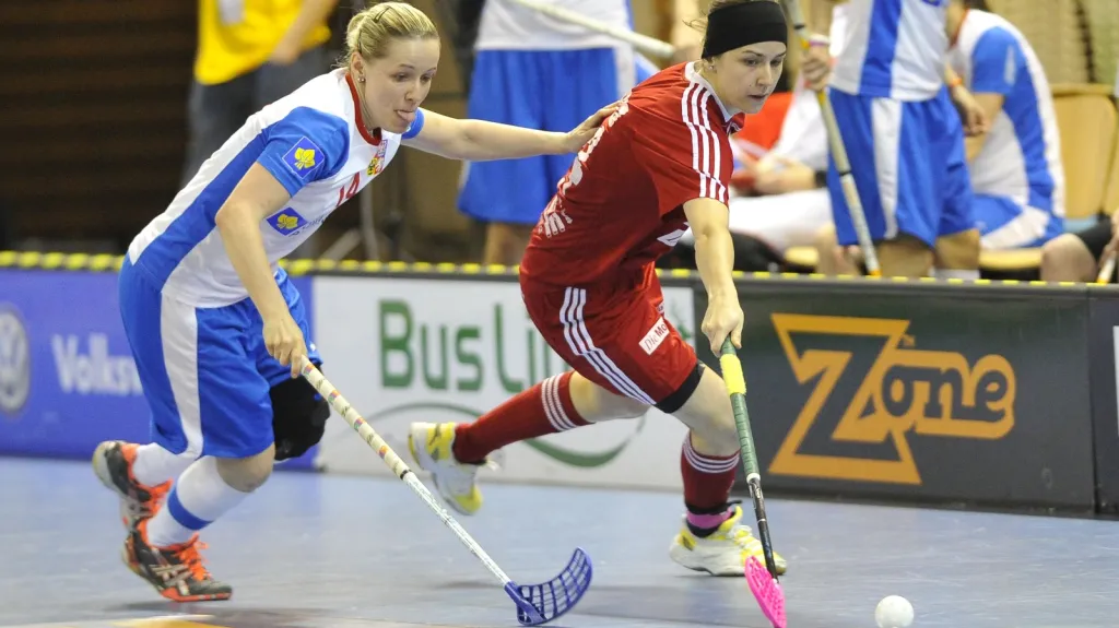 Utkání Česko - Švýcarsko