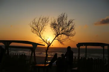 „Nečisté zvíře“ jako domácí mazlíček. V Gaze jsou v módě psi, k nelibosti Hamásu