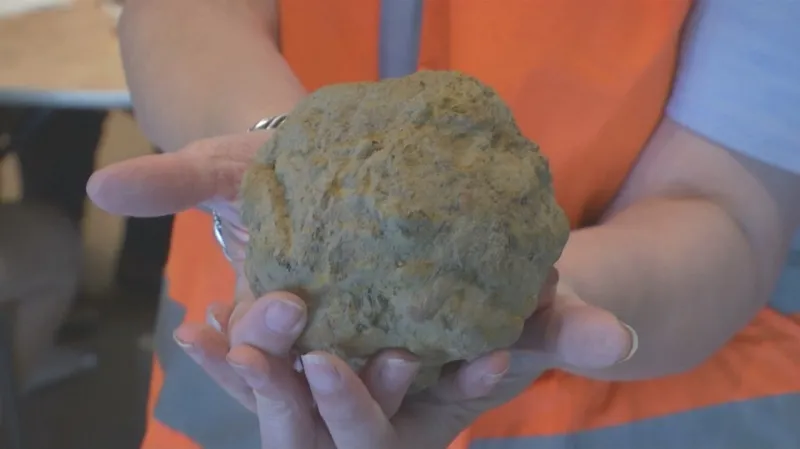 Nalezená dělová koule francouzské armády může změnit pohled na průběh bitvy u Waterloo