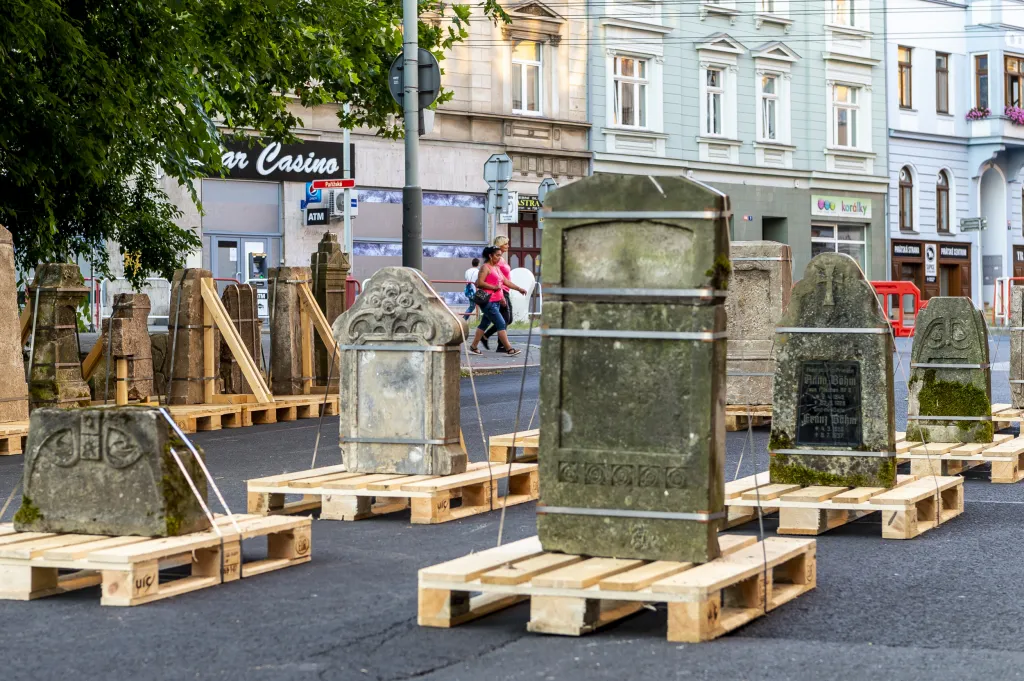 Kromě politických dějin se výstava dotkne kultury, zvyků, spolkové činnosti či sportování Němců v Čechách. Odhalí méně známou historii, ale nevyhne se ani tématu nacismu a vysídlení. Plochou 1500 metrů čtverečních bude větší než v Mnichově loni otevřené Sudetoněmecké muzeum