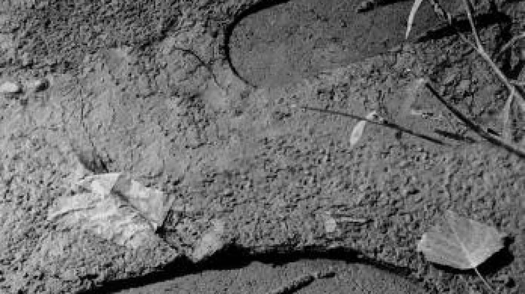 Dezider Tóth: Stopa (1979)