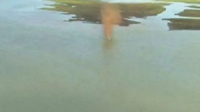 Reportáž Hany Scharffové