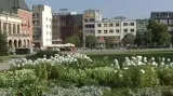 Město Zlín soutěží v mezinárodní soutěži \"Města v květu\"