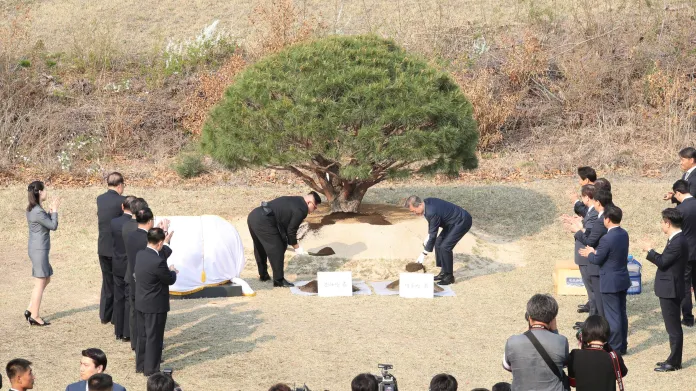 Kim a Mun společně zasadili strom v demilitarizovaném pásmu
