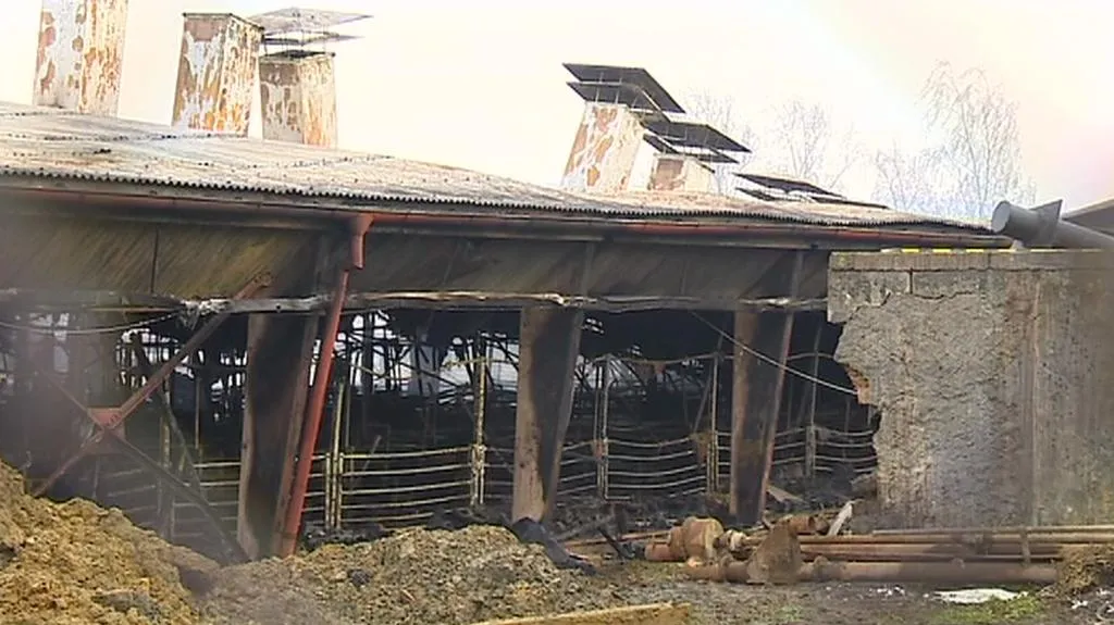 Požár vepřína na Havlíčkobrodsku