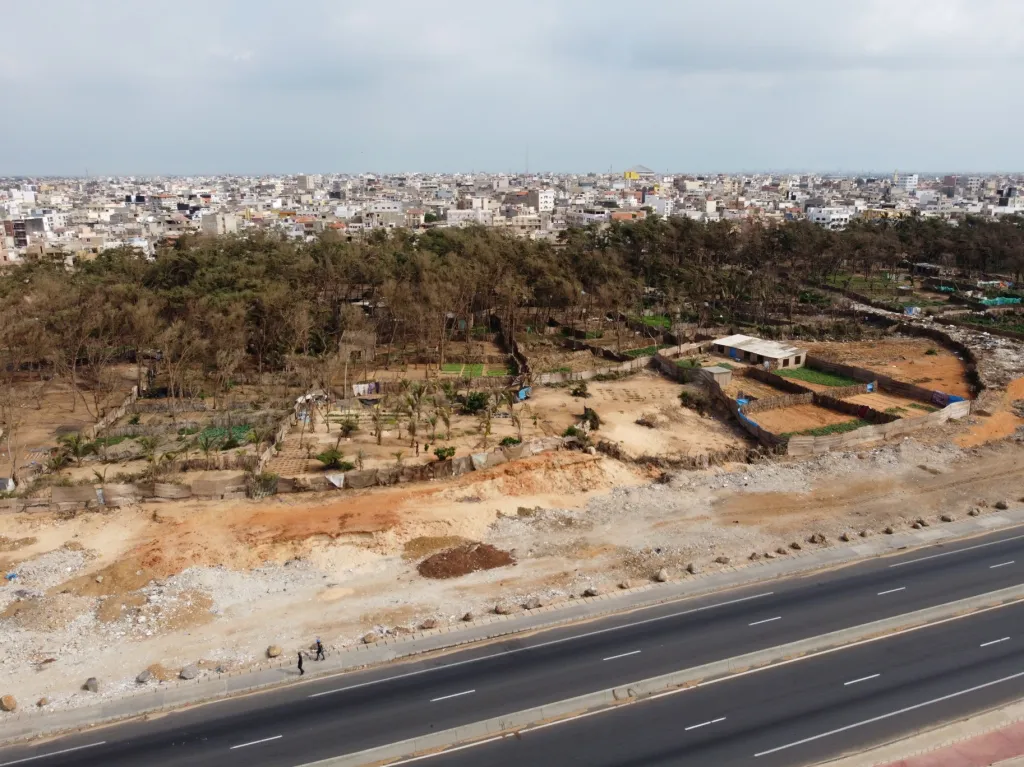 Celkový pohled na stromy poblíž pobřežní části zvané Guediawaye na okraji Dakaru