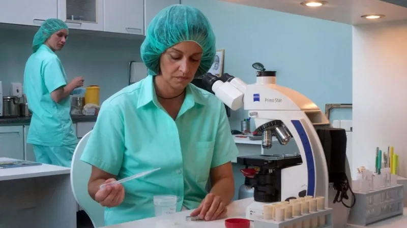 Chromozom (z cyklu Nevinné lži) / Tereza Brodská