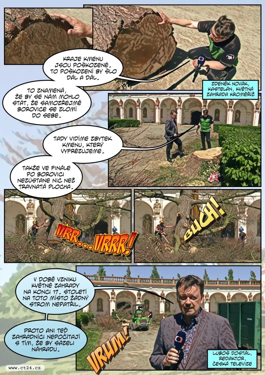 Pokáceli staletý strom v Kroměříži