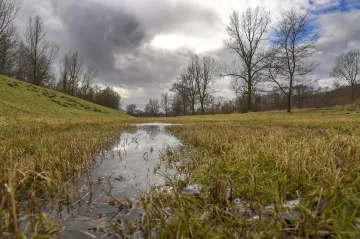 Leden byl výjimečně teplý, příští týden teploty stoupnou dokonce až na 10 stupňů