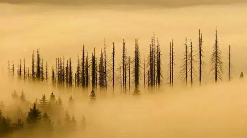 Meteoroložka: Příští týden se počasí vrátí k dlouhodobému průměru