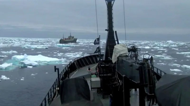 Sea Shepherd pronásleduje loď Thunder