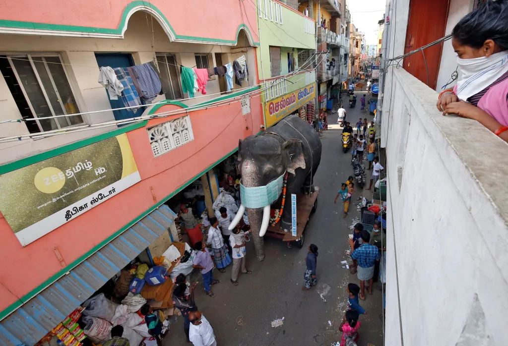Socha slona má kolečka, aby s ní bylo možné manipulovat v ulicích a snadno ji převážet na nová místa