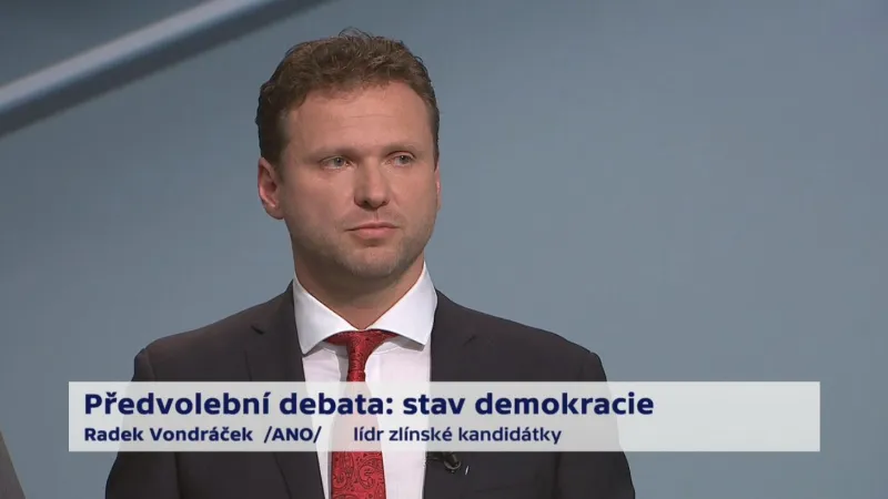 Vondráček o možných změnách Ústavy