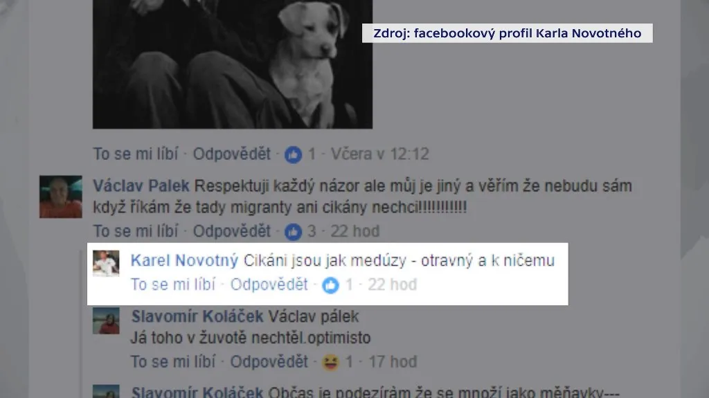 Výrok náměstka ministra průmyslu a obchodu Karla Novotného na Facebooku
