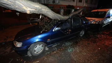 Před půlnocí spadl strom na pět zaparkovaných vozidel v ulici Ukrajinská v Praze 10