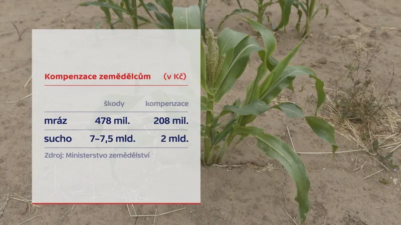 Kompenzace zemědělcům