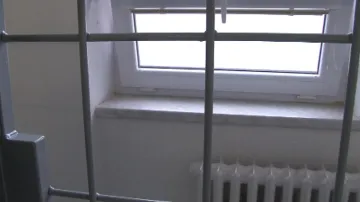 Šály nejprve roztáhl mříže, poté prolezl úzkým oknem
