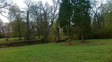Zámecký park ve Veselí nad Moravou
