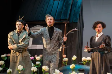 Na Jihočeské divadlo neodbytně útočí letní vosy