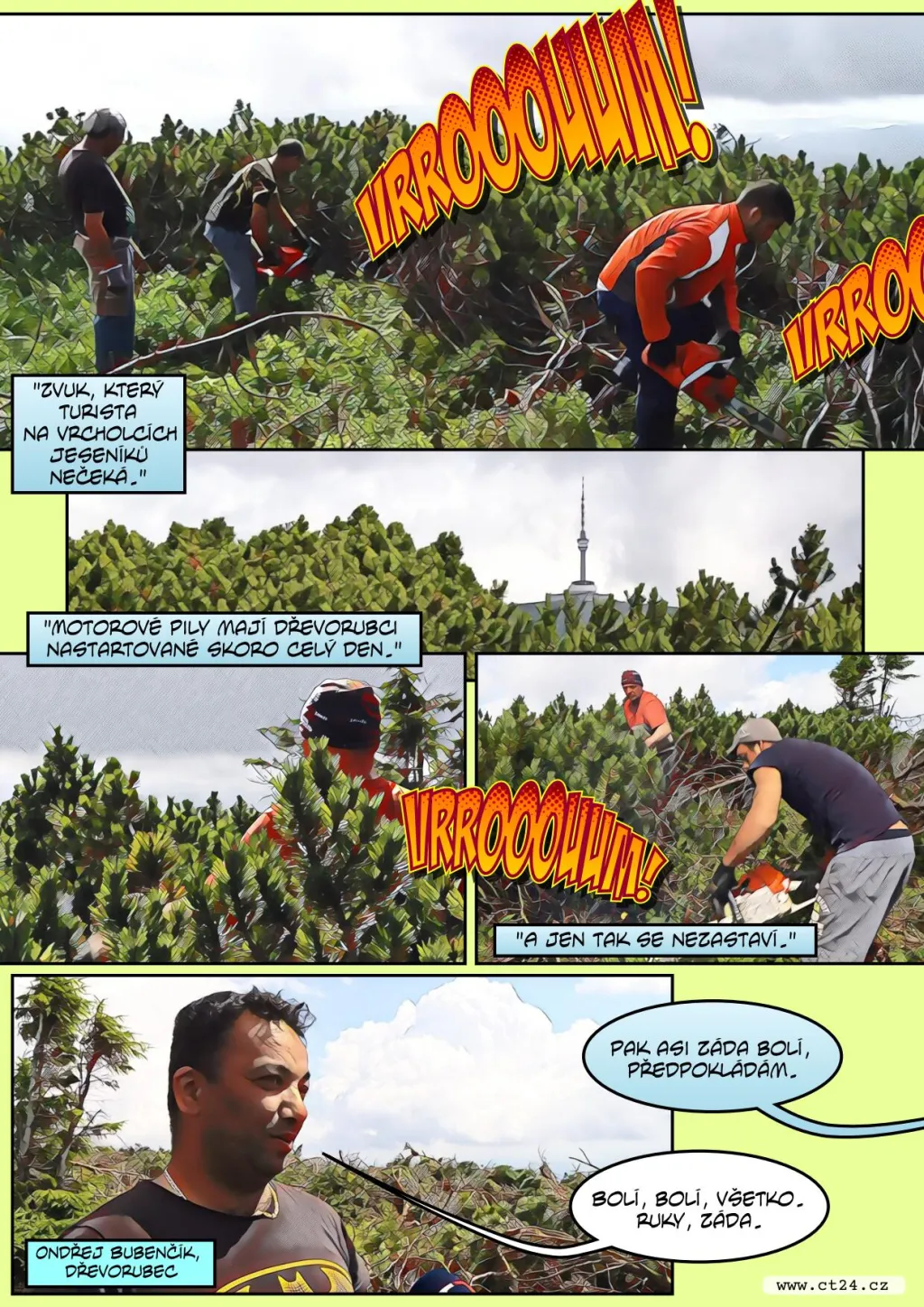 Návrat původních druhů do Jeseníků