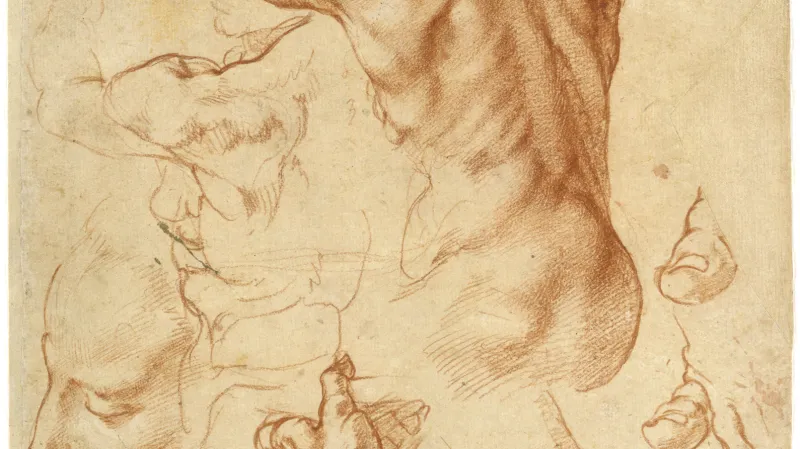 Kresba Michelangela Buonarrotiho