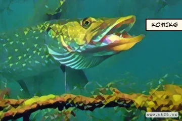 Rybáři na jihu Čech v líhních uměle vytírají štiky