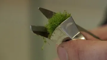 Úprava mechu na unikátním prstenu z Islandu