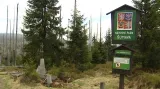 Meteoroložka ČT: Během dne se na Šumavě očekává vydatný déšť