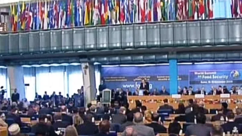 Summit FAO o potravinové bezpečnosti
