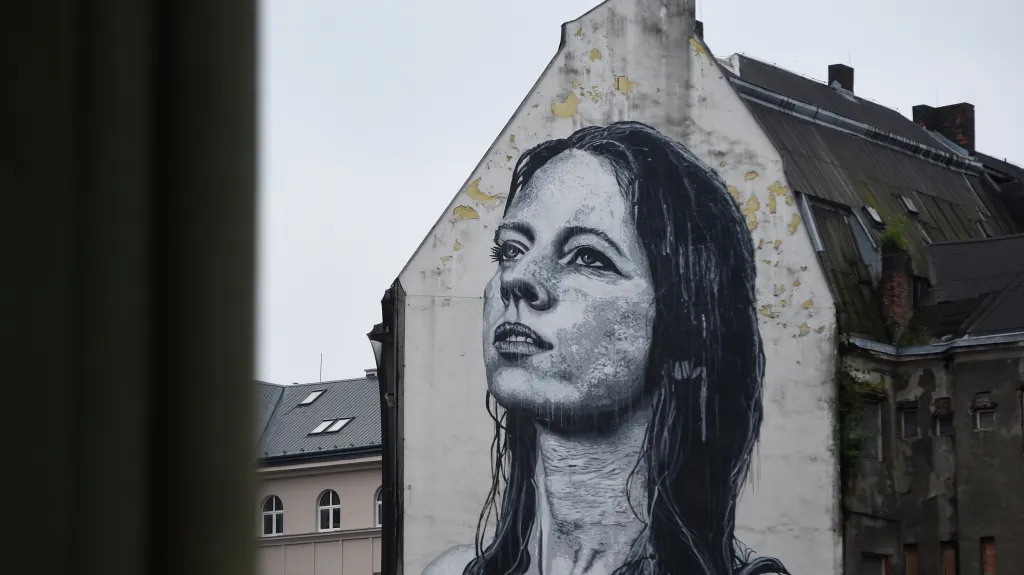 Portrét Madona na Ostravici