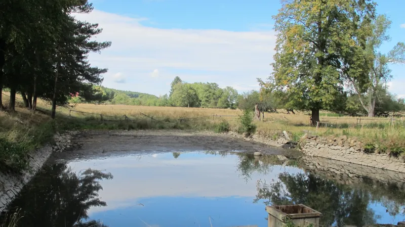 Vypuštěný rybník v Kublově