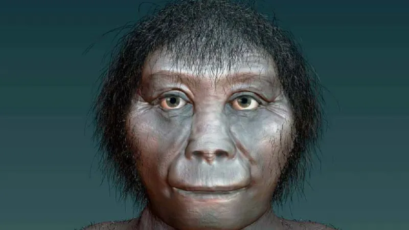 Homo floresiensis