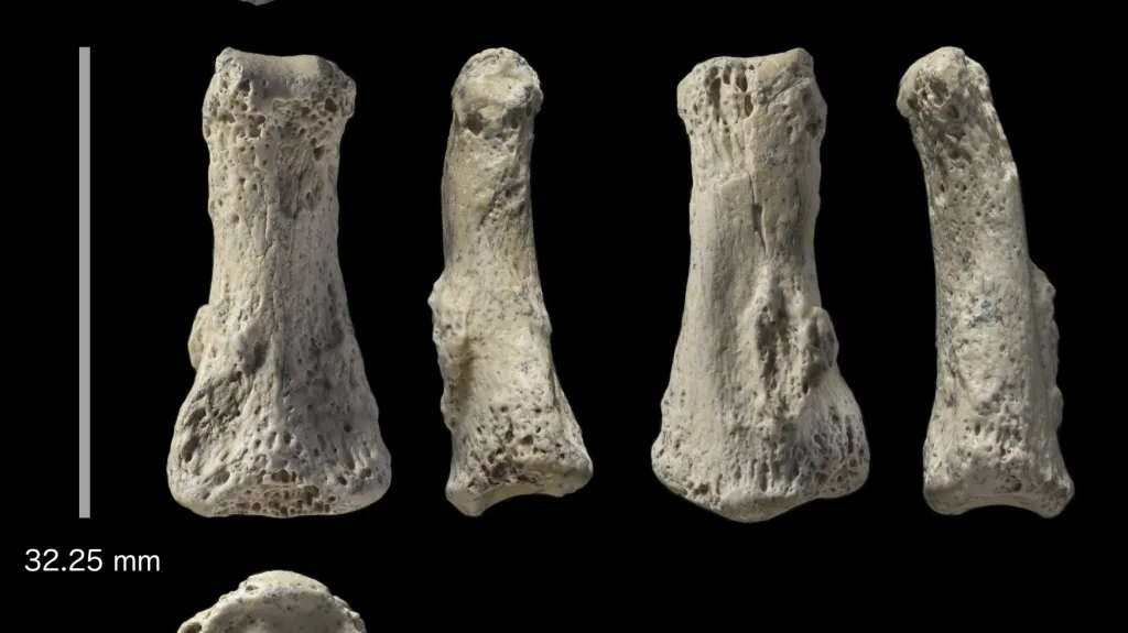 Prst starý 90 000 let