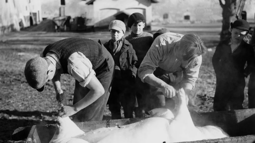 Vesnická zabíjačka