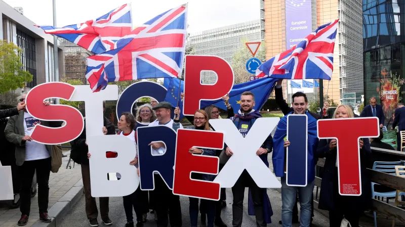 V Bruselu se před začínajícím summitem EU sešli odpůrci brexitu