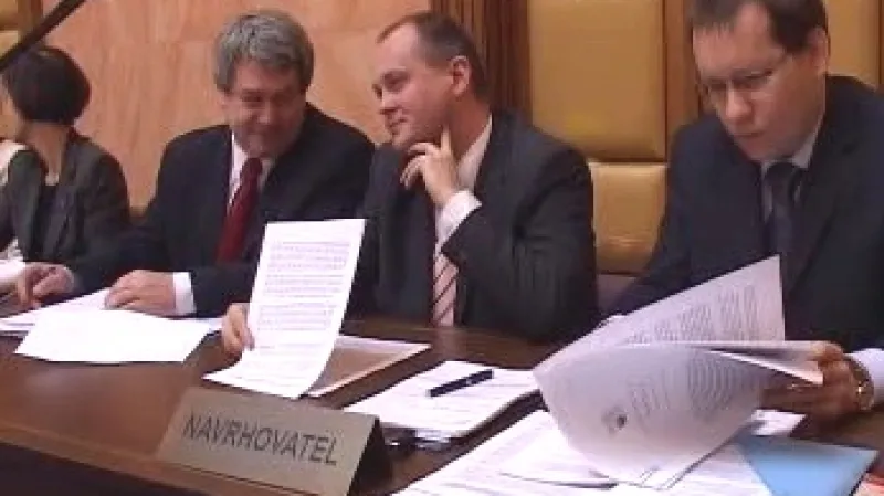 Opozice u Ústavního soudu