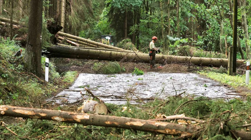 Popadané stromy na silnici ze Sokolova do Krásna